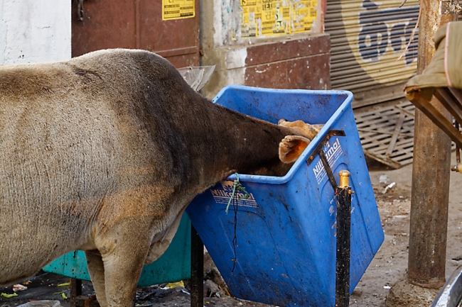 Varanasi-Les ghats-014
